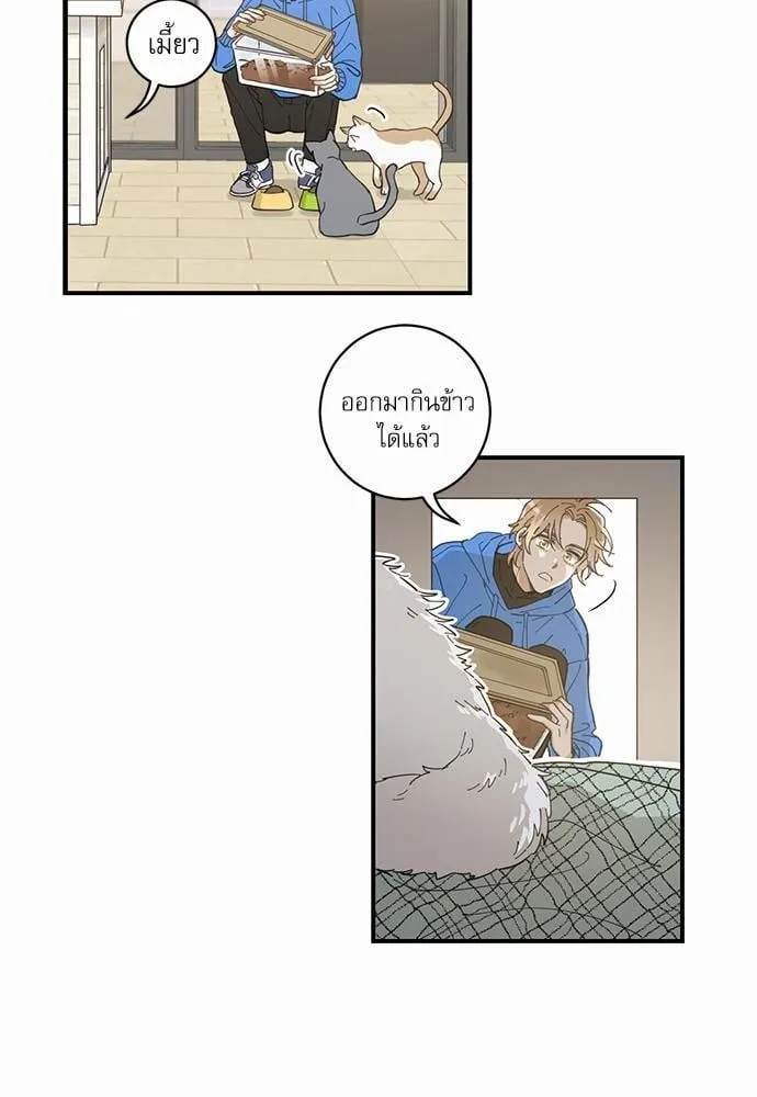 My One and Only Cat ตอนที่ 138 My One and Only Cat ตอนที่ 138