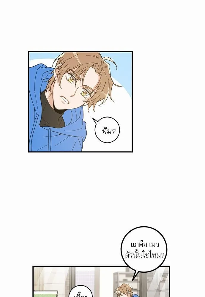 My One and Only Cat ตอนที่ 139 My One and Only Cat ตอนที่ 139