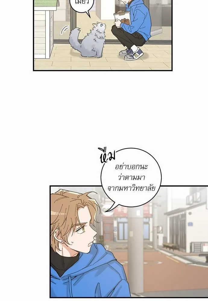 My One and Only Cat ตอนที่ 140 My One and Only Cat ตอนที่ 140