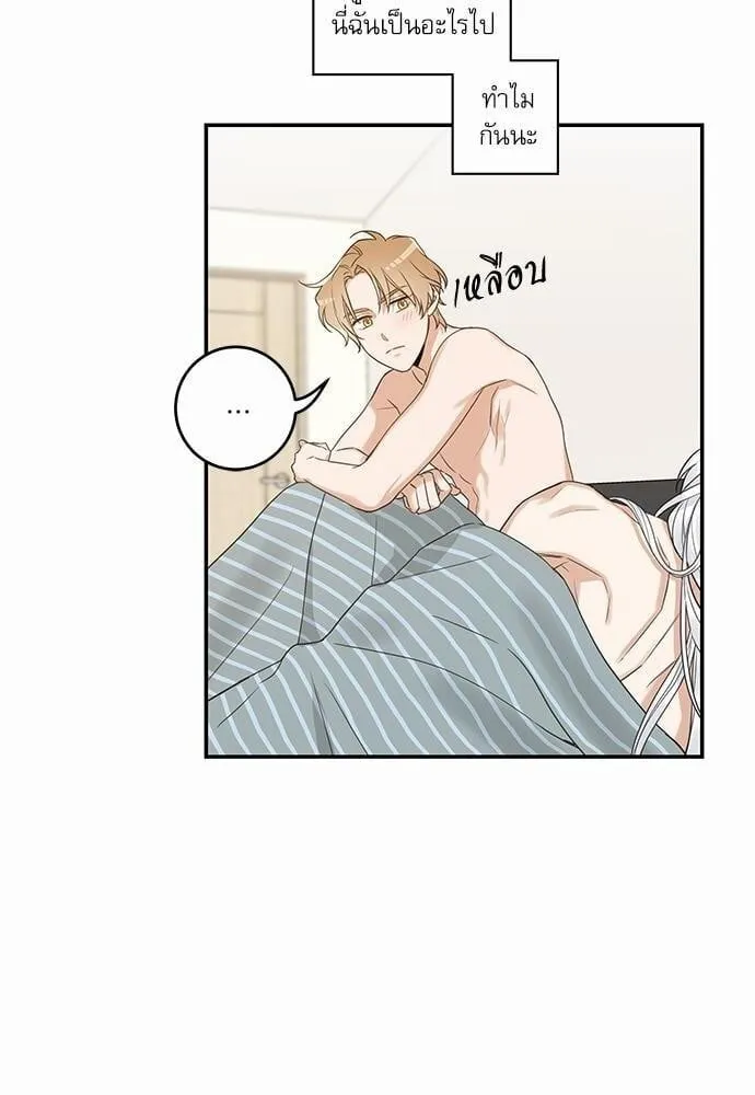 My One and Only Cat ตอนที่ 1408