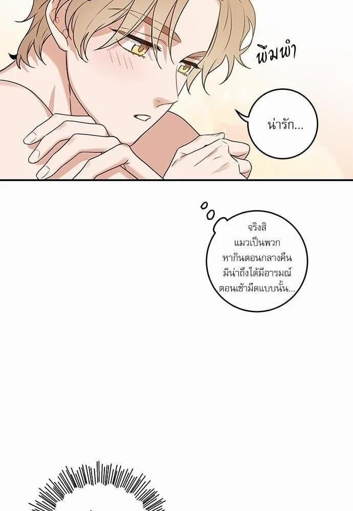 My One and Only Cat ตอนที่ 1410