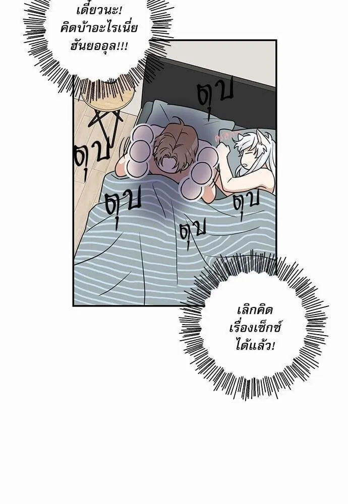 My One and Only Cat ตอนที่ 1411