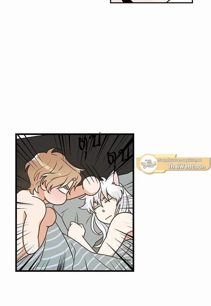 My One and Only Cat ตอนที่ 1416