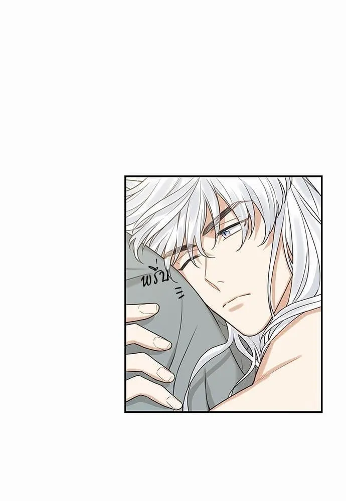 My One and Only Cat ตอนที่ 1417