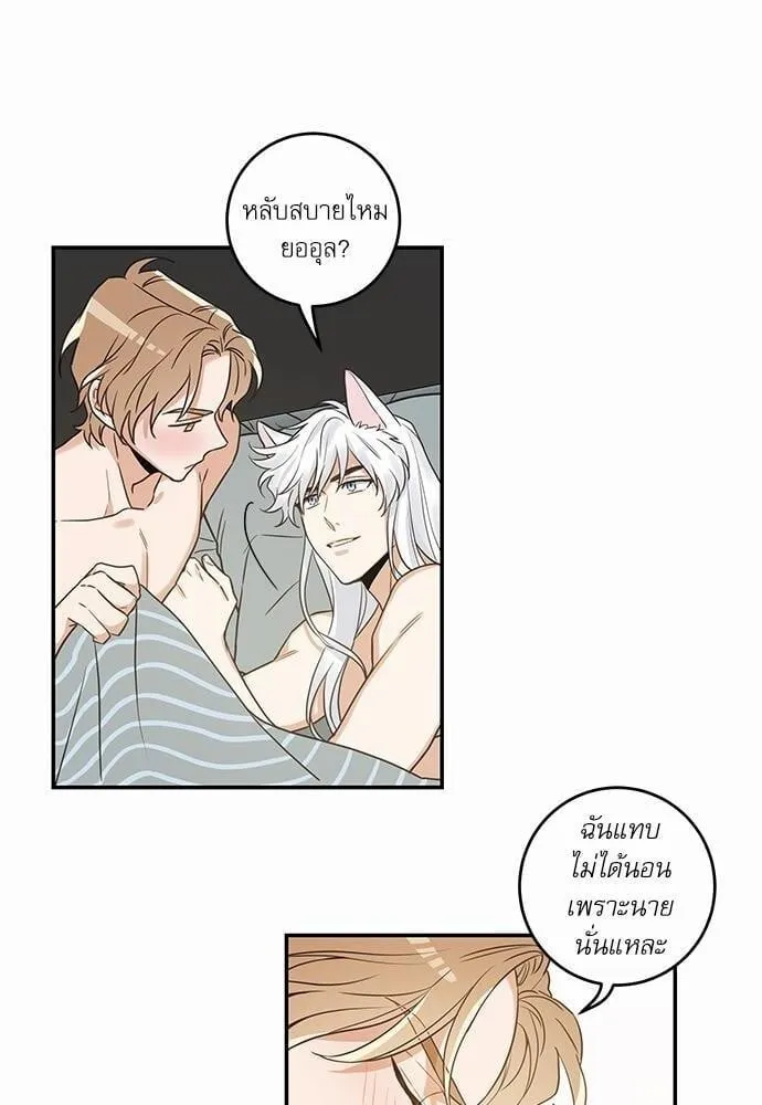My One and Only Cat ตอนที่ 1418