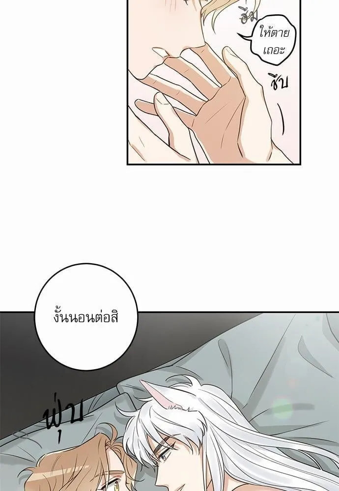 My One and Only Cat ตอนที่ 1419