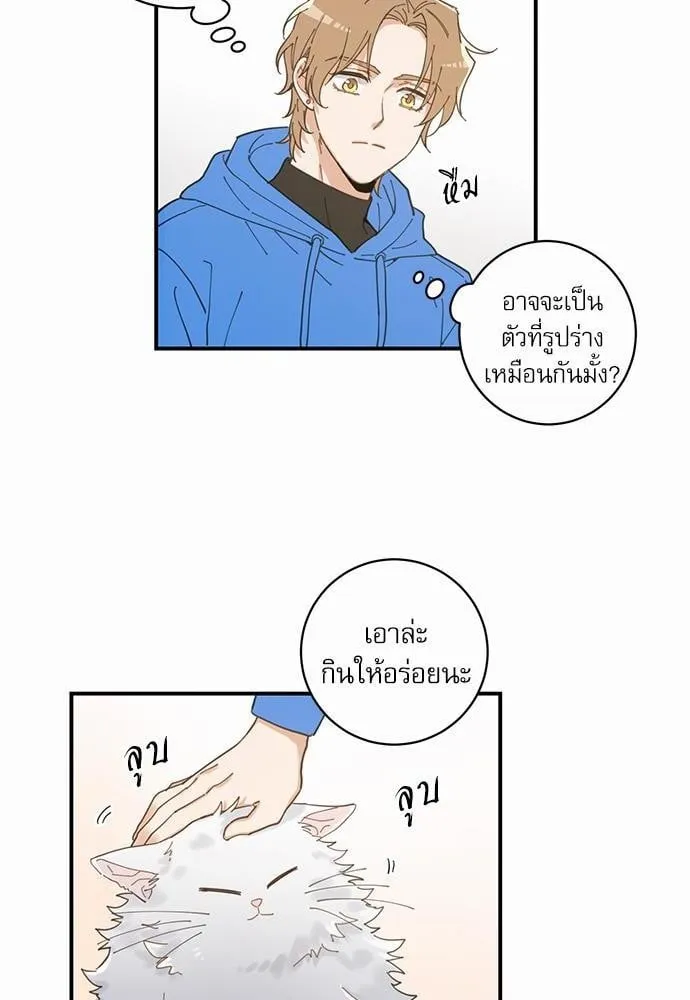 My One and Only Cat ตอนที่ 142 My One and Only Cat ตอนที่ 142