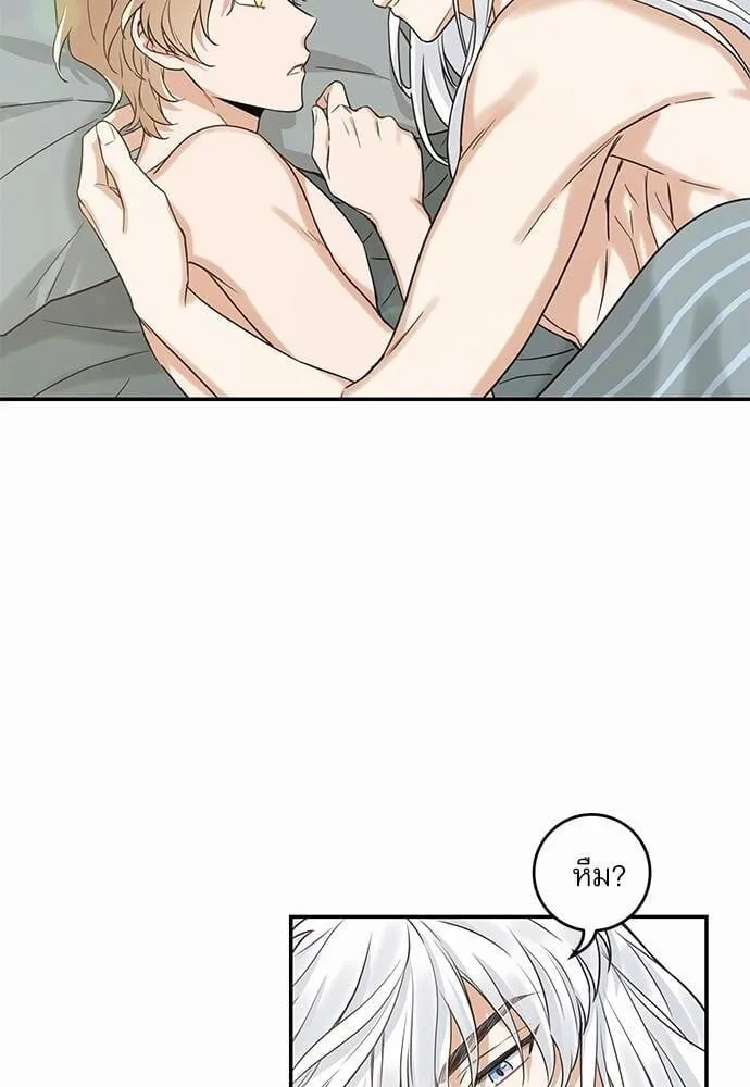 My One and Only Cat ตอนที่ 1420