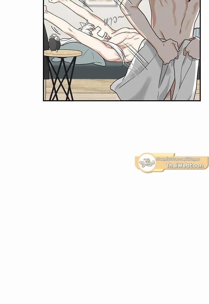 My One and Only Cat ตอนที่ 1425