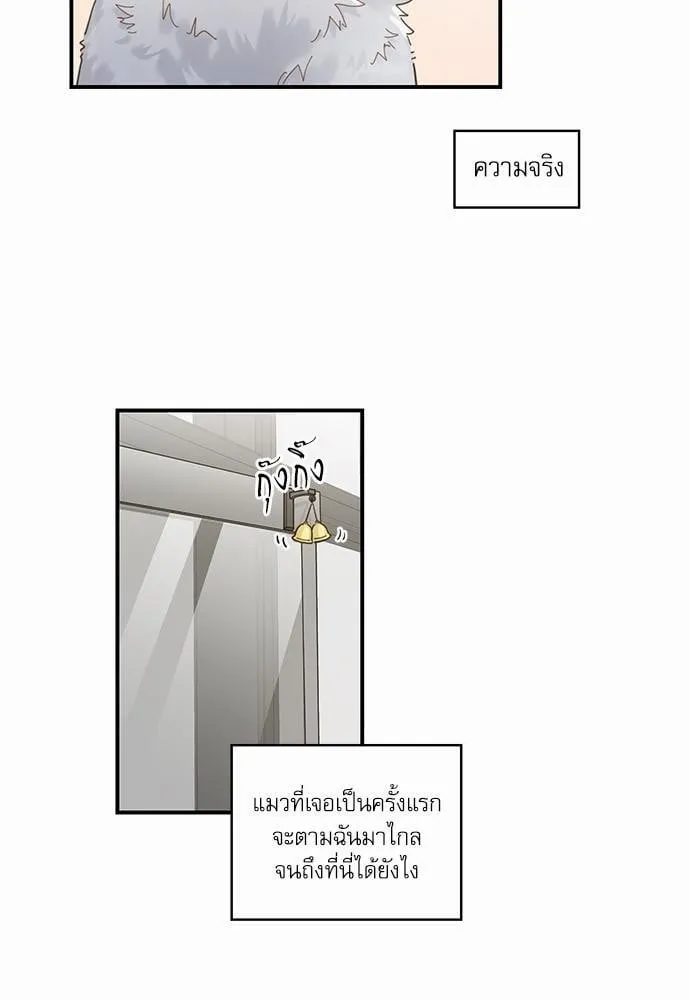 My One and Only Cat ตอนที่ 143 My One and Only Cat ตอนที่ 143