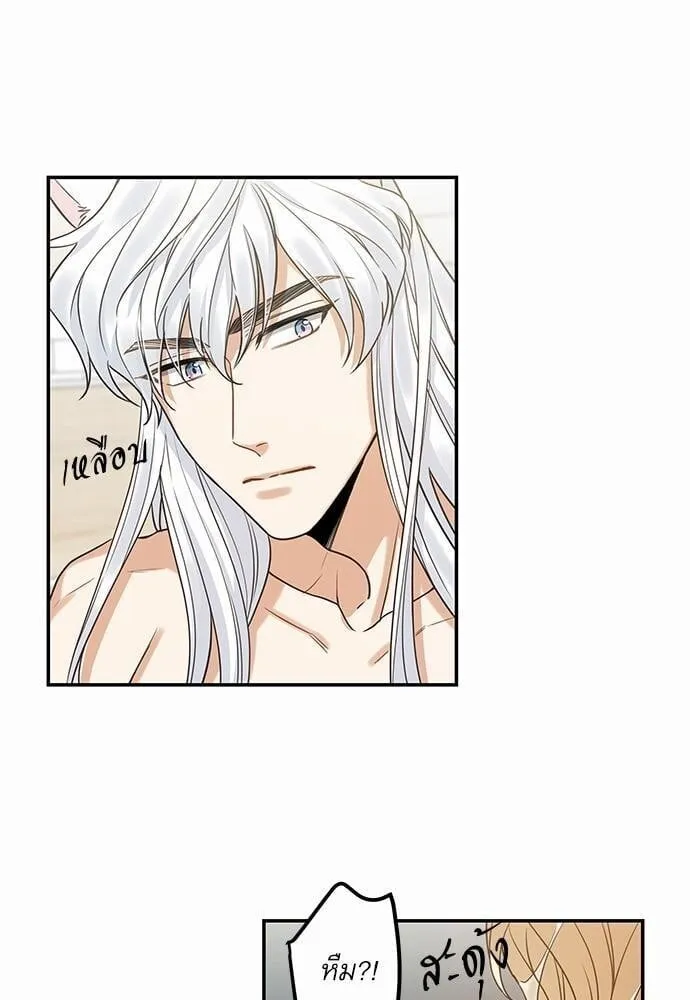 My One and Only Cat ตอนที่ 1431