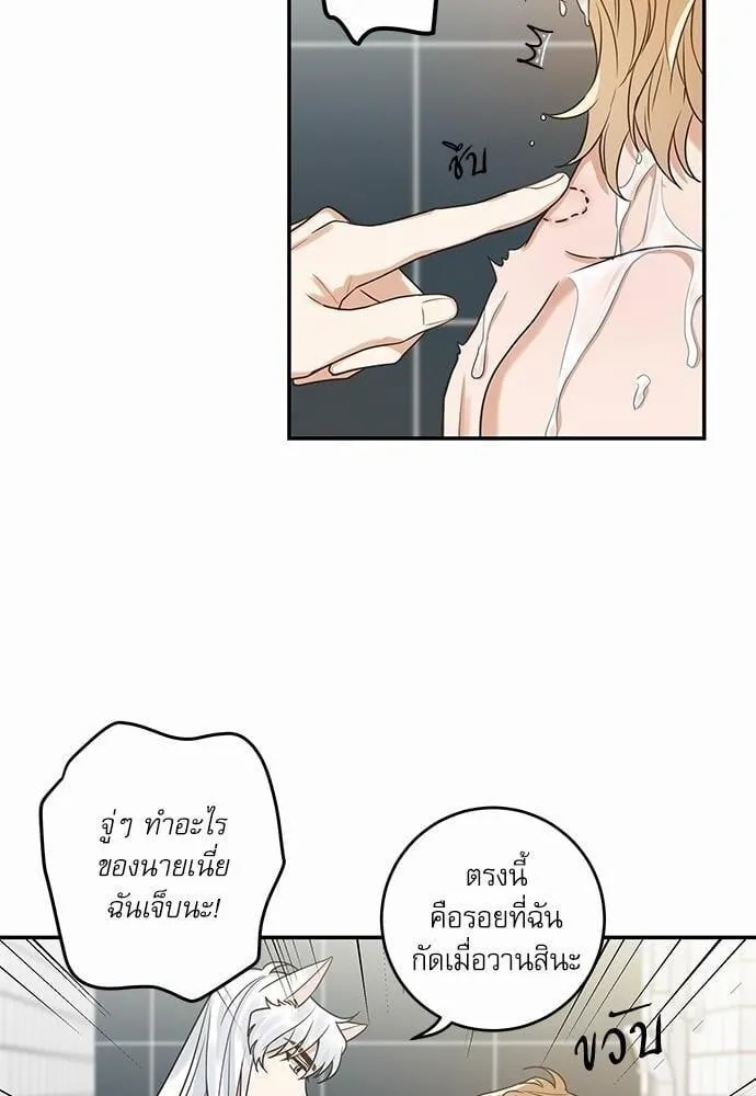 My One and Only Cat ตอนที่ 1432