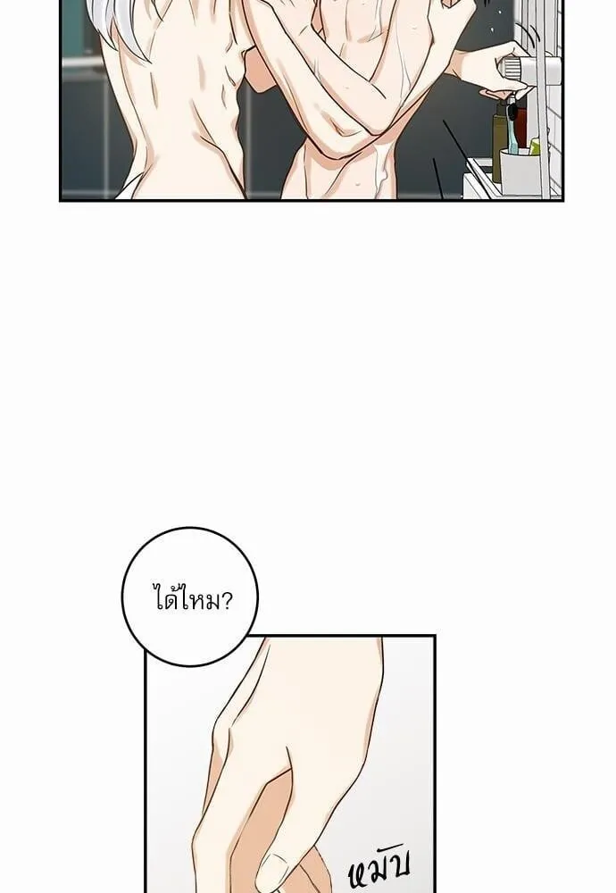 My One and Only Cat ตอนที่ 1436