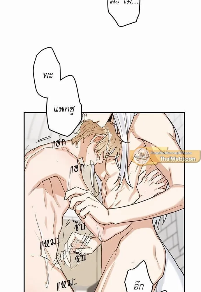 My One and Only Cat ตอนที่ 1439