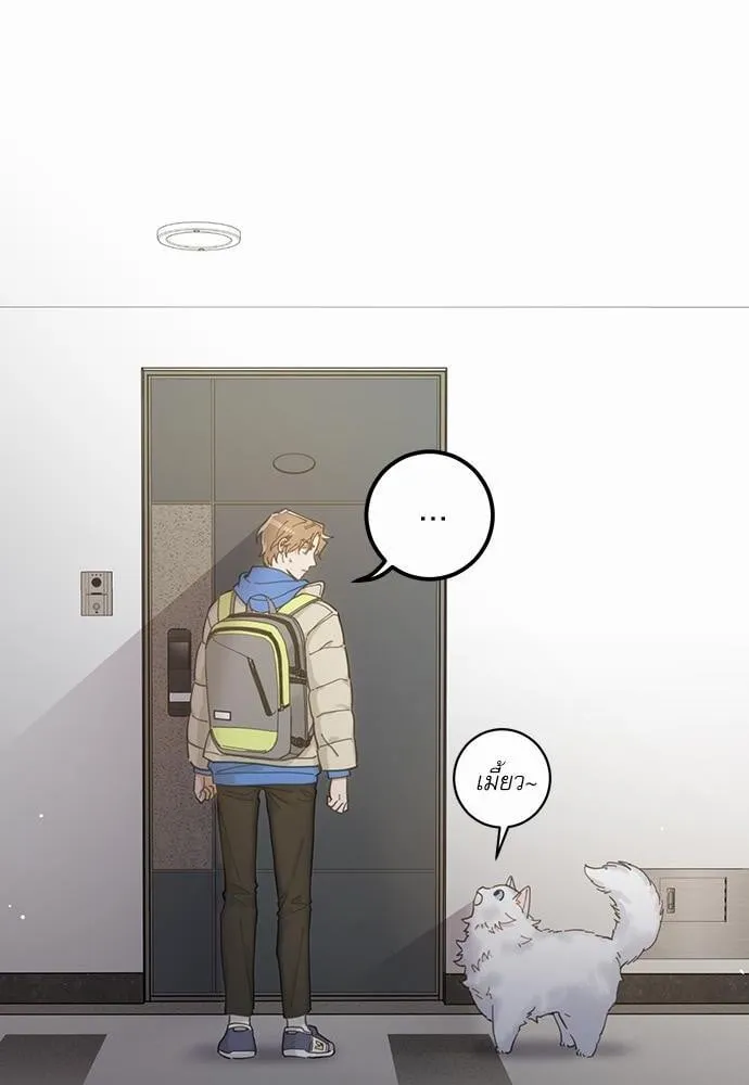 My One and Only Cat ตอนที่ 144 My One and Only Cat ตอนที่ 144