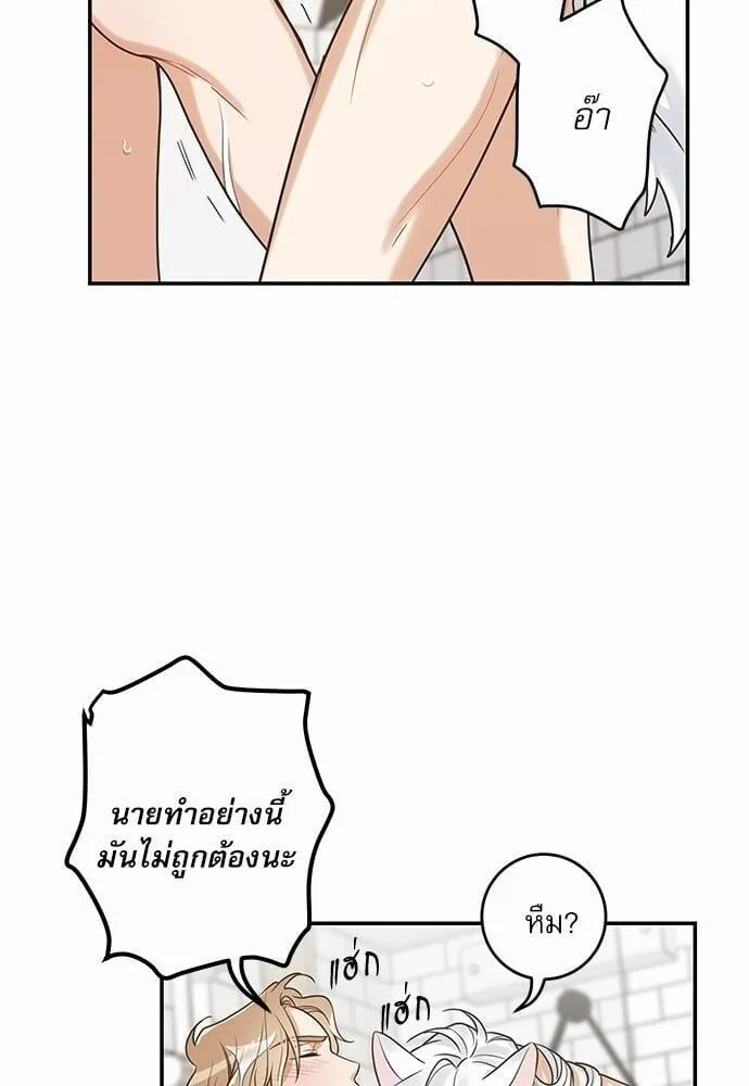 My One and Only Cat ตอนที่ 1440