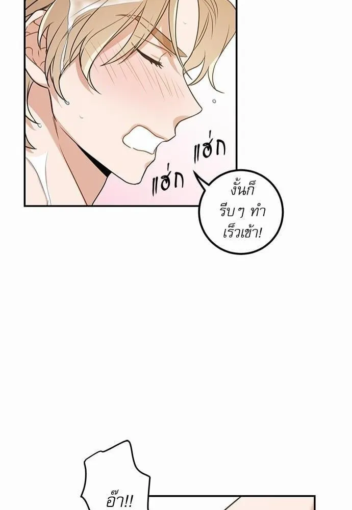 My One and Only Cat ตอนที่ 1442