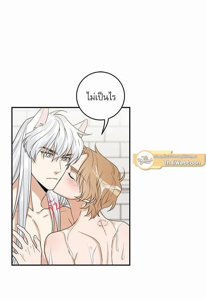 My One and Only Cat ตอนที่ 1457