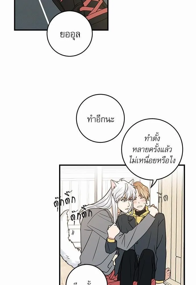 My One and Only Cat ตอนที่ 1502