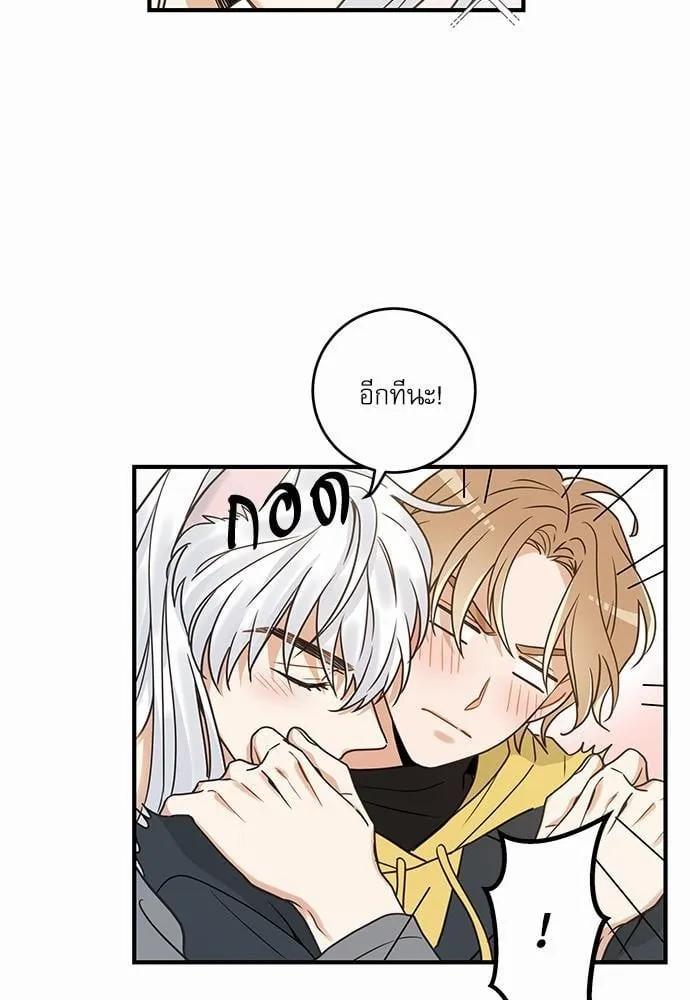 My One and Only Cat ตอนที่ 1505