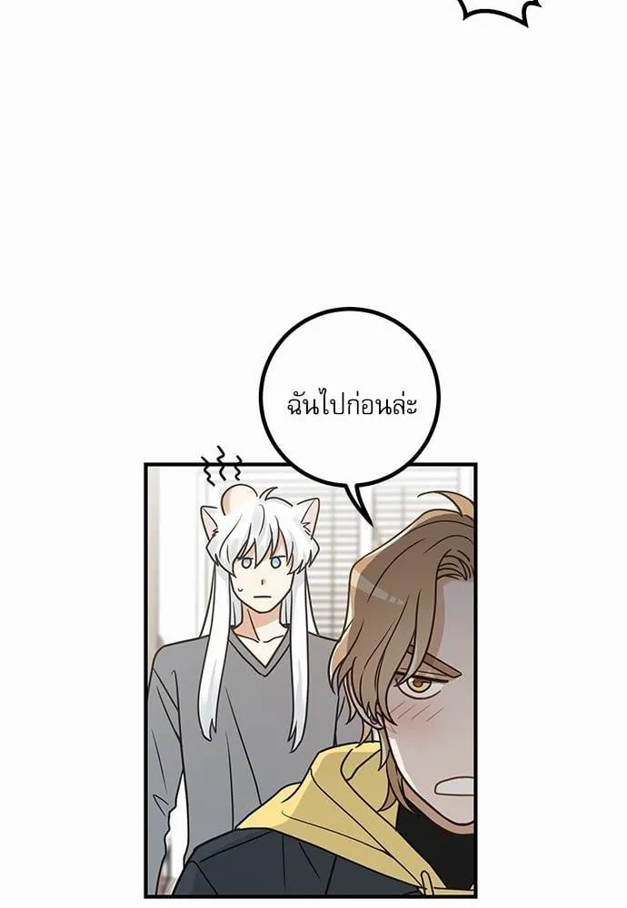 My One and Only Cat ตอนที่ 1506