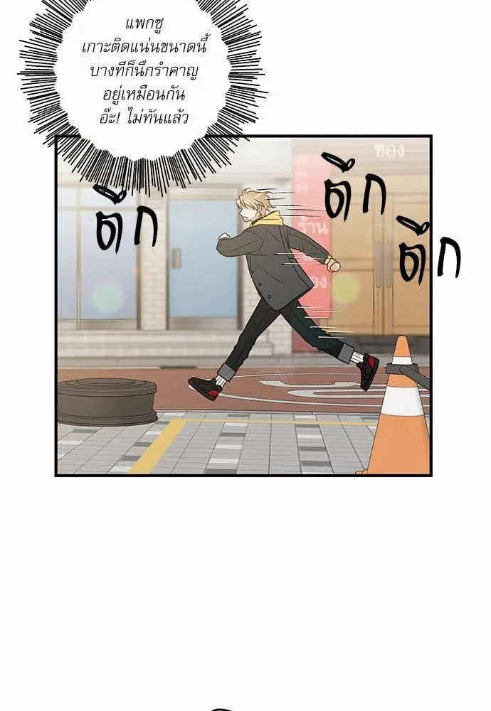 My One and Only Cat ตอนที่ 1509