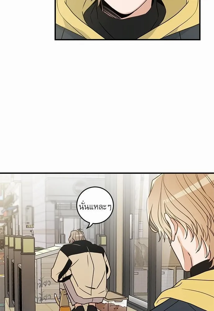 My One and Only Cat ตอนที่ 1511