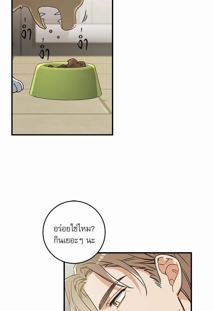 My One and Only Cat ตอนที่ 1513