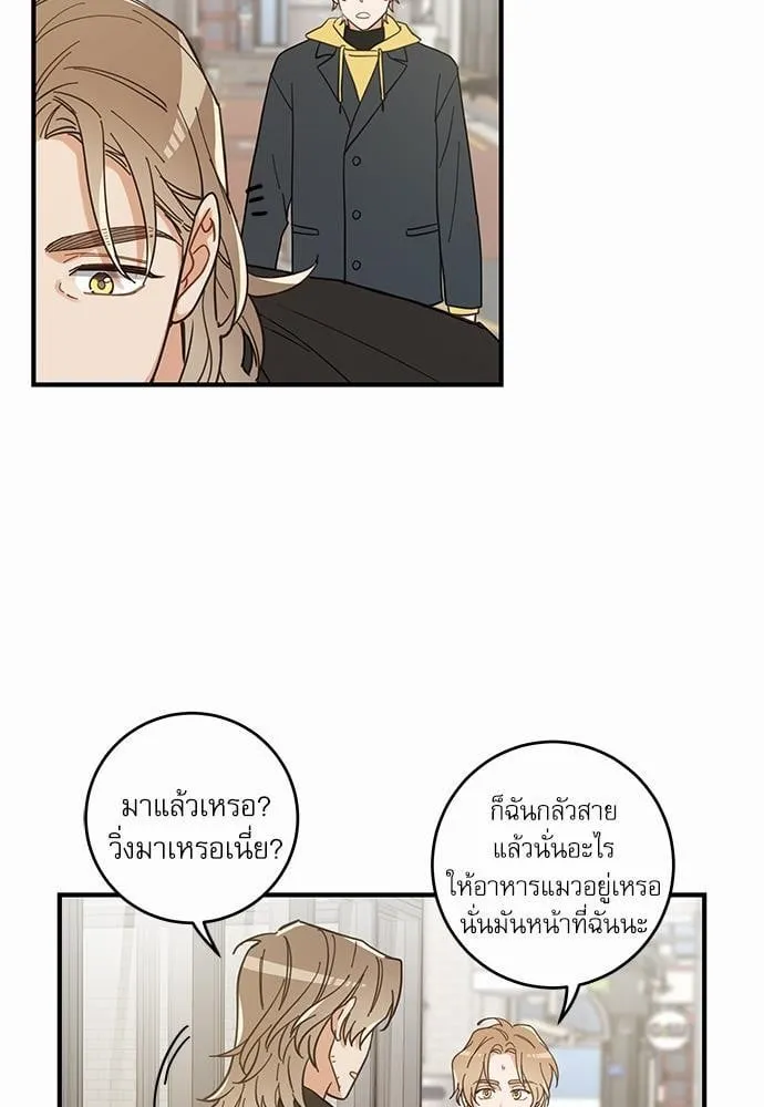 My One and Only Cat ตอนที่ 1515