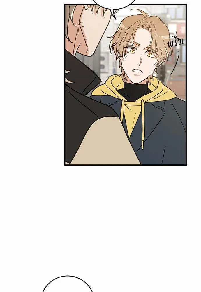 My One and Only Cat ตอนที่ 1517