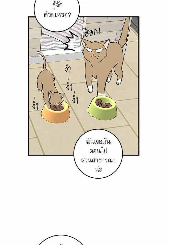 My One and Only Cat ตอนที่ 1518