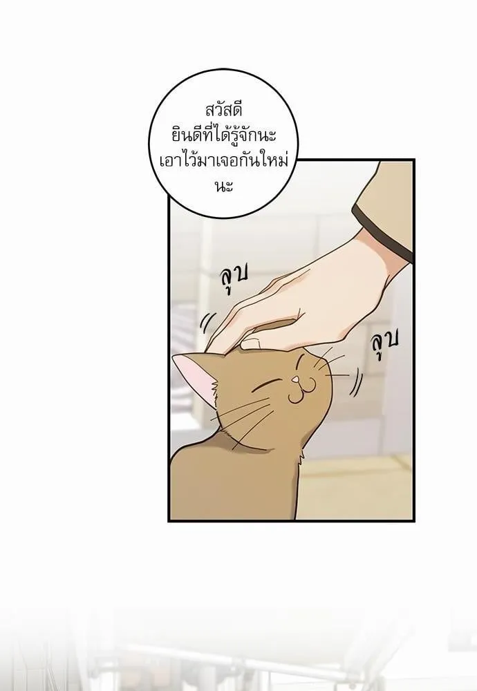 My One and Only Cat ตอนที่ 1520