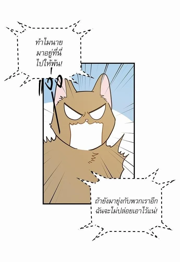 My One and Only Cat ตอนที่ 1524