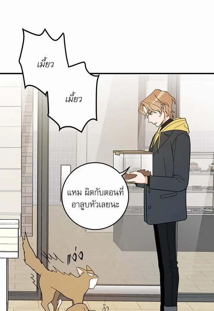 My One and Only Cat ตอนที่ 1525