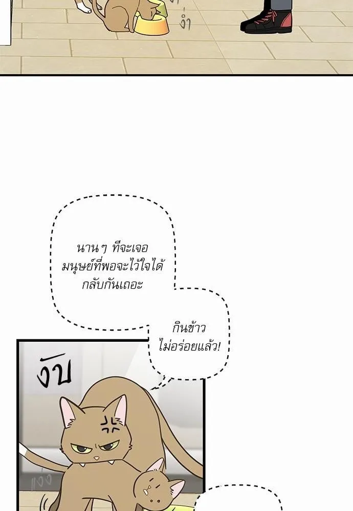 My One and Only Cat ตอนที่ 1526