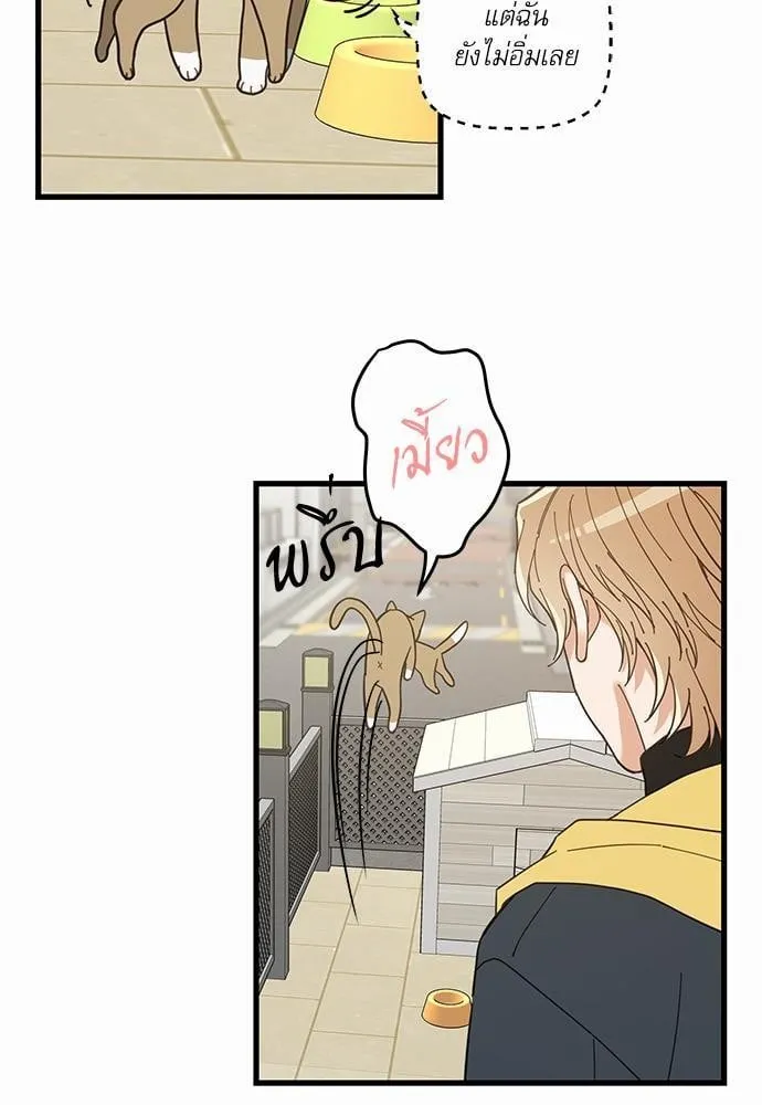 My One and Only Cat ตอนที่ 1527