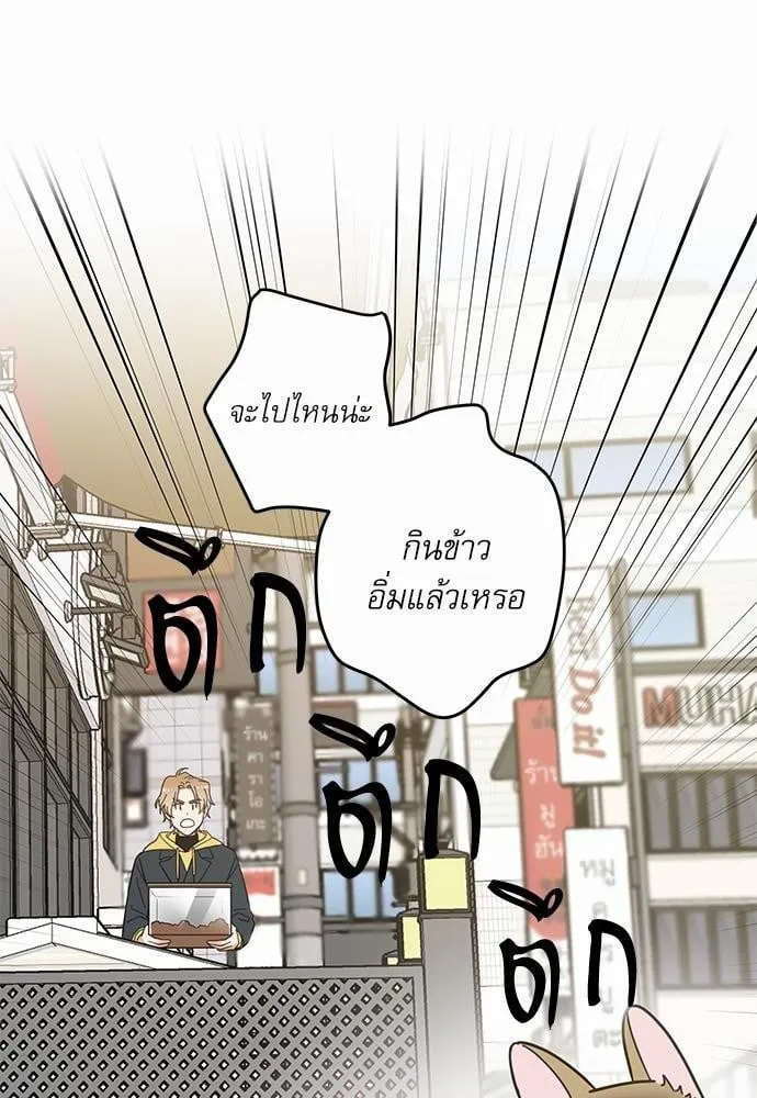 My One and Only Cat ตอนที่ 1528
