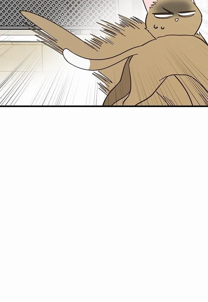 My One and Only Cat ตอนที่ 1529