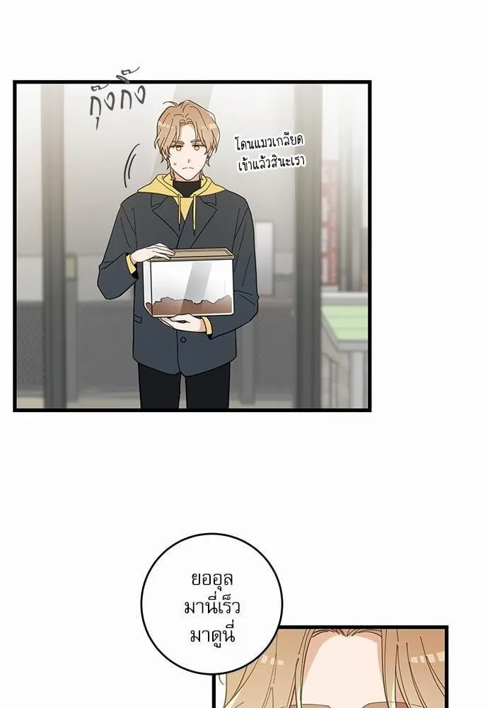 My One and Only Cat ตอนที่ 1530