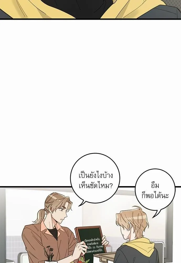 My One and Only Cat ตอนที่ 1538