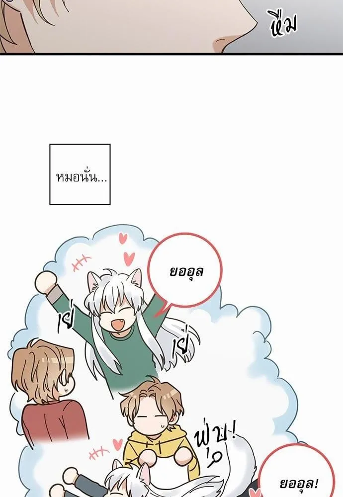 My One and Only Cat ตอนที่ 1604