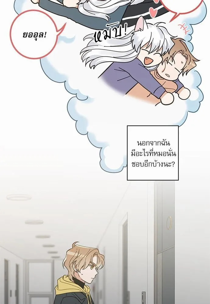 My One and Only Cat ตอนที่ 1605