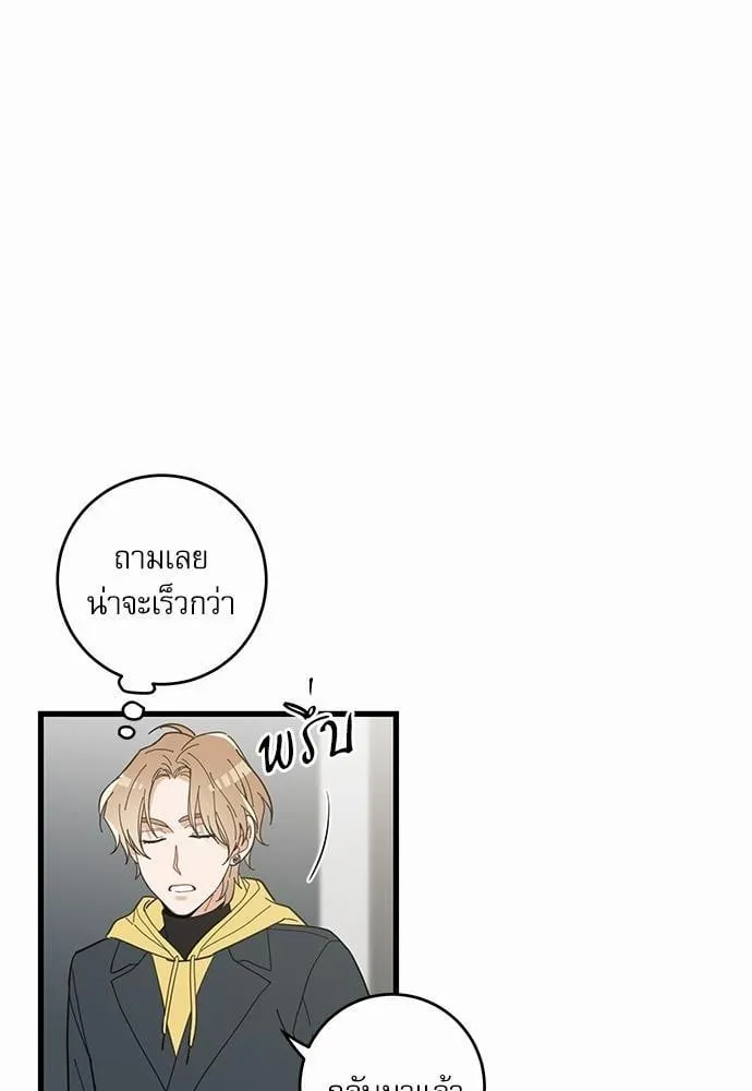 My One and Only Cat ตอนที่ 1608