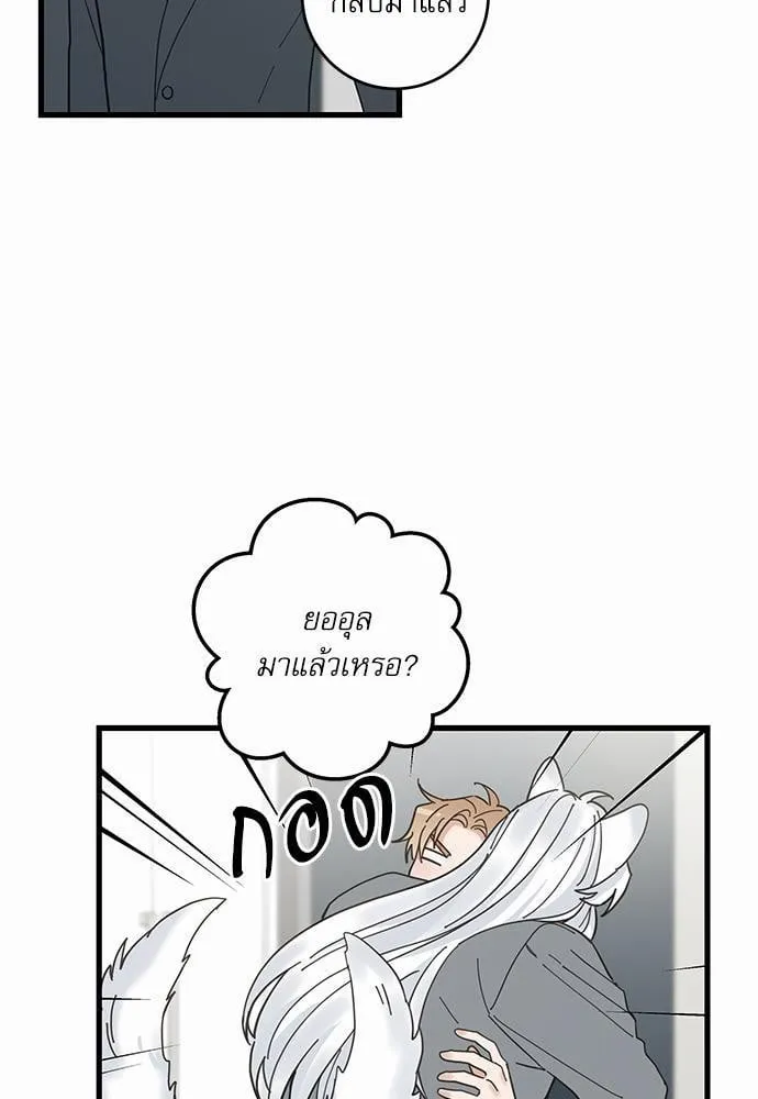 My One and Only Cat ตอนที่ 1609