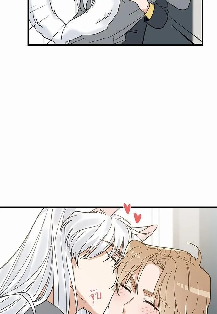 My One and Only Cat ตอนที่ 1610