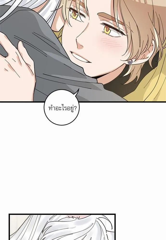 My One and Only Cat ตอนที่ 1612