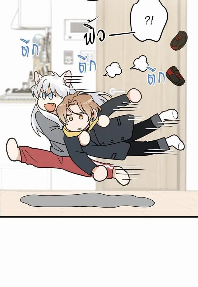 My One and Only Cat ตอนที่ 1615