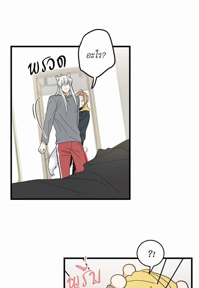 My One and Only Cat ตอนที่ 1616