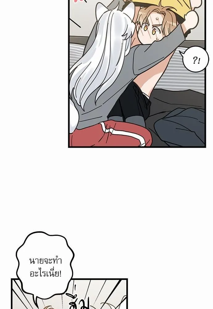 My One and Only Cat ตอนที่ 1617