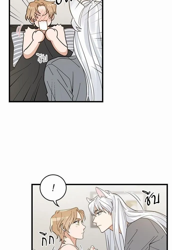 My One and Only Cat ตอนที่ 1618